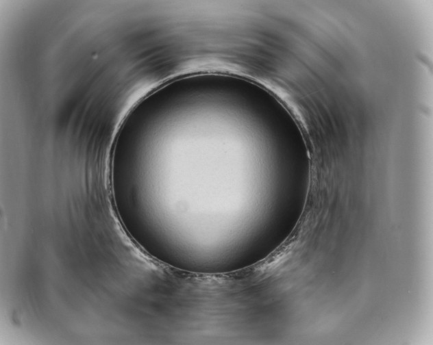 X0000095110815200712211319