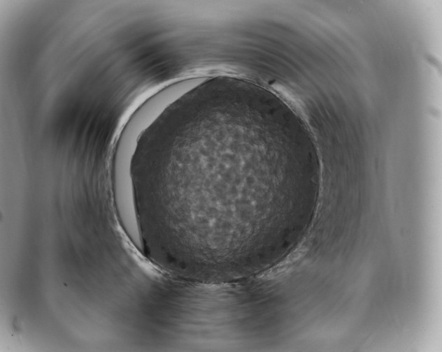 X0000095110816200712211319