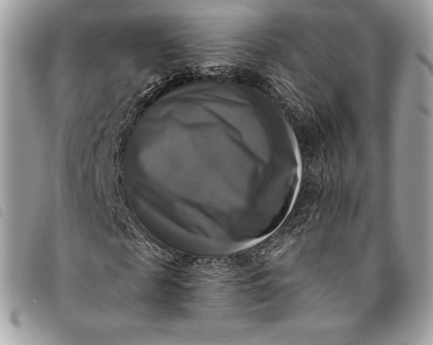 X0000095110817200712211319