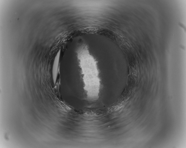 X0000095110818200712211319