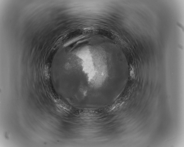 X0000095110819200712211319