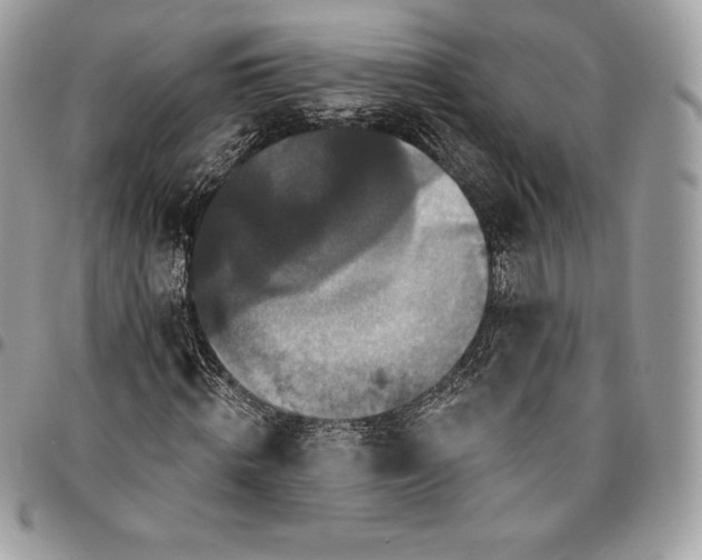 X0000095110820200712211319