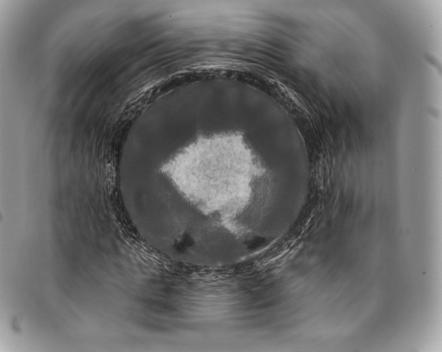 X0000095110821200712211319