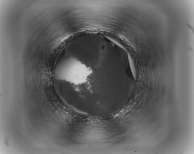 X0000095110822200712211319