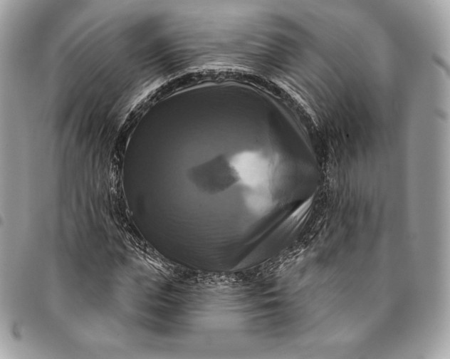 X0000095110823200712211319