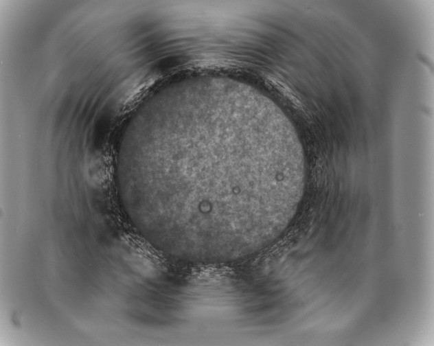 X0000095110824200712211319