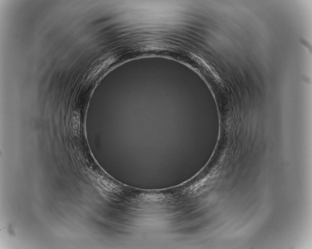 X0000095110825200712211319