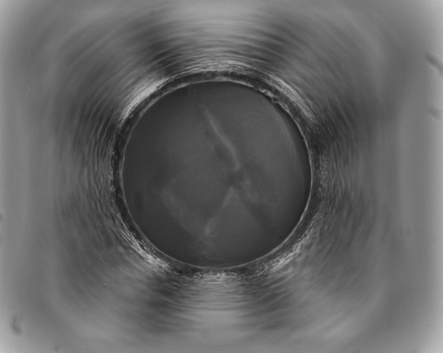 X0000095110826200712211319