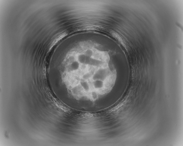 X0000095110827200712211319