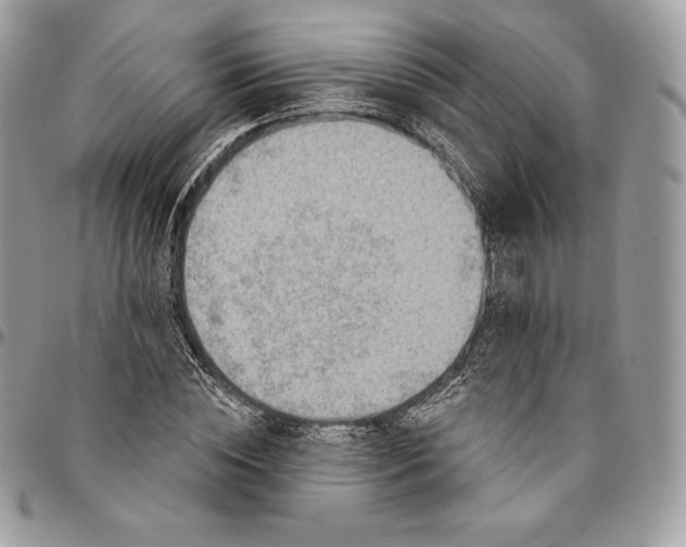 X0000095110828200712211319