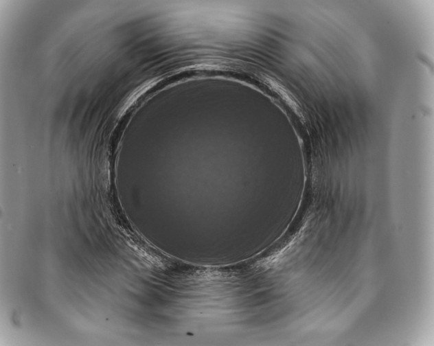 X0000095110829200712211319