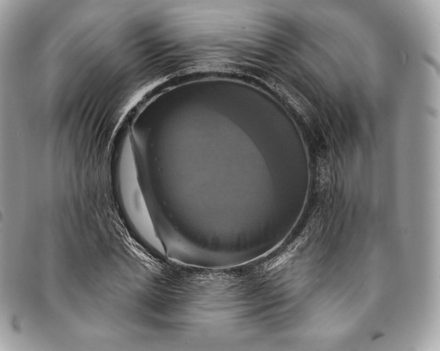 X0000095110830200712211319