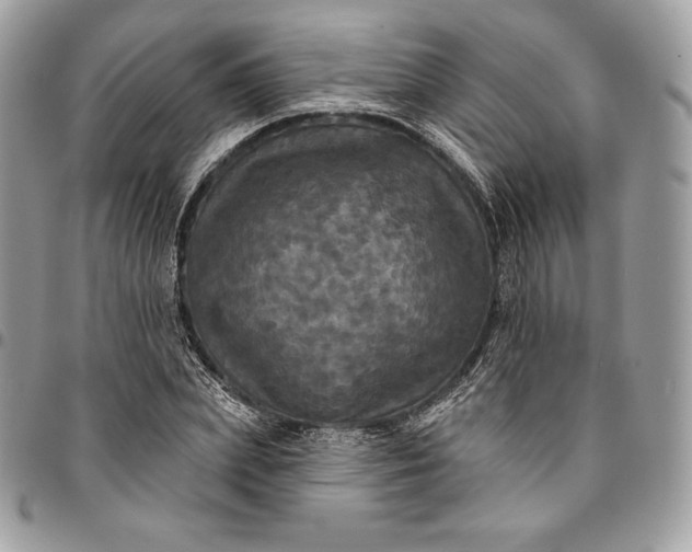 X0000095110831200712211319