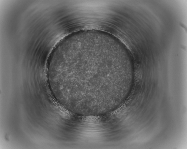 X0000095110832200712211319