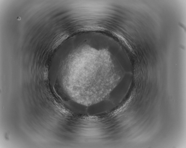 X0000095110833200712211319