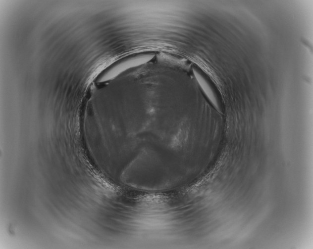 X0000095110834200712211319