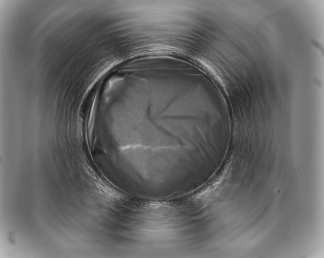 X0000095110835200712211319