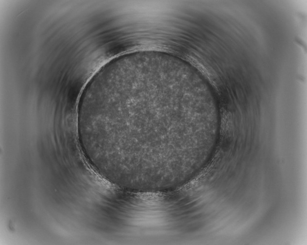 X0000095110836200712211319