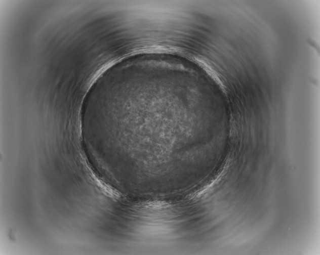 X0000095110837200712211319