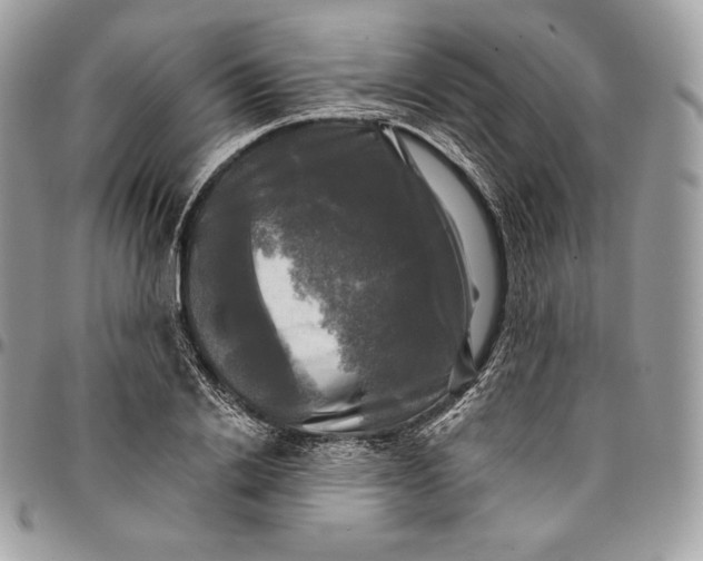 X0000095110838200712211319