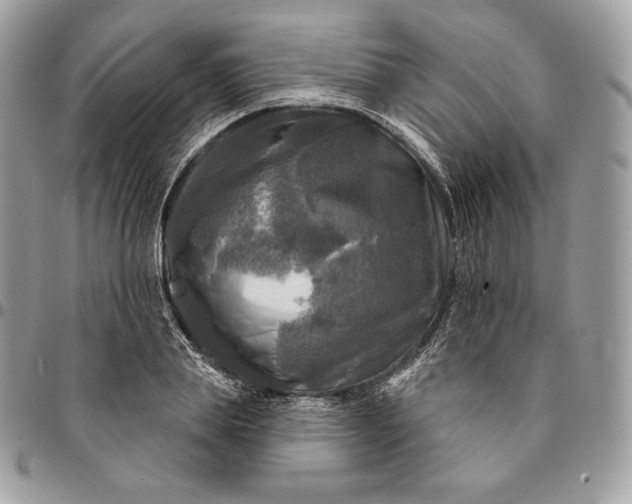 X0000095110839200712211319