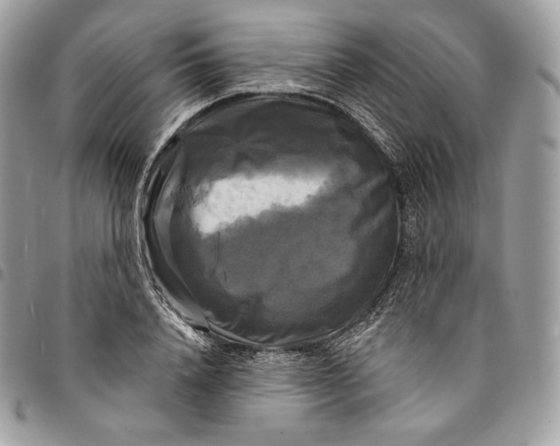 X0000095110840200712211319