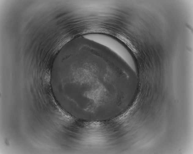 X0000095110841200712211319