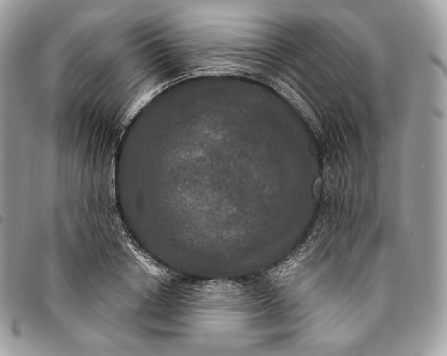 X0000095110842200712211319