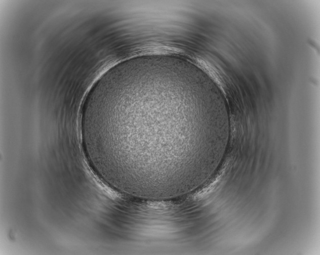 X0000095110843200712211319