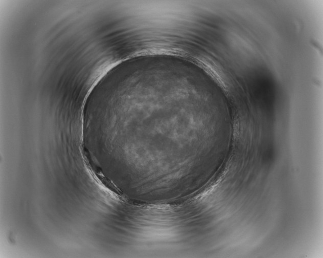 X0000095110844200712211319