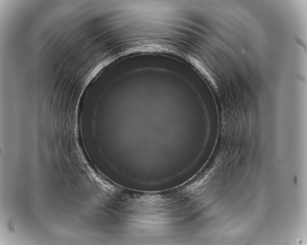 X0000095110845200712211319