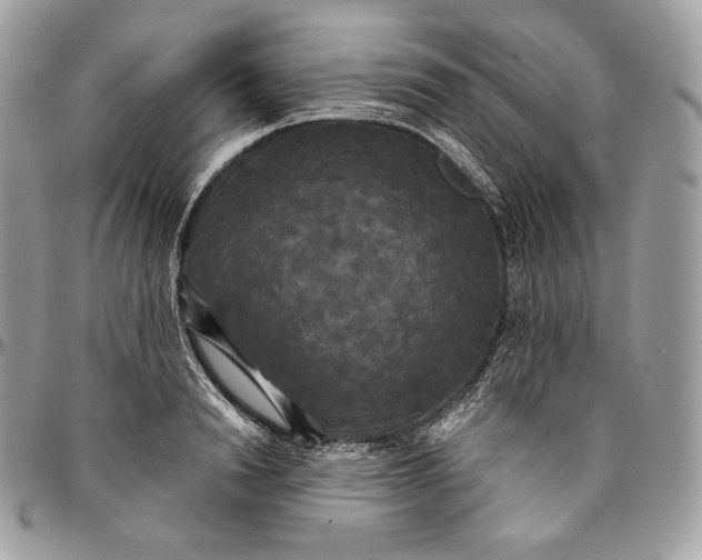 X0000095110846200712211319