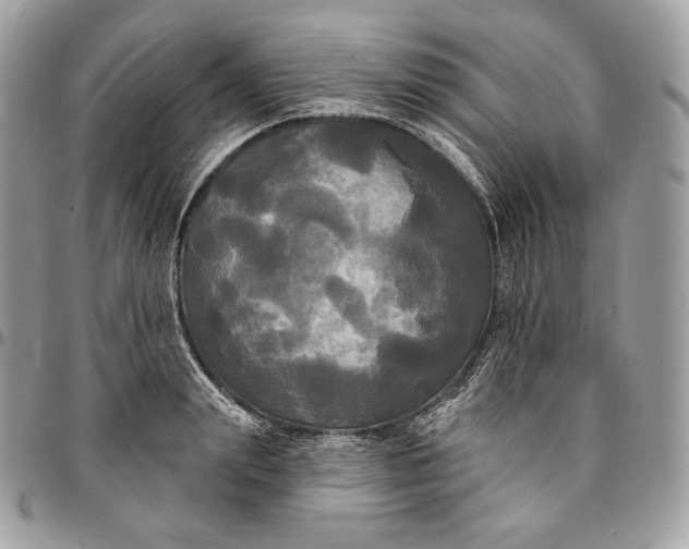 X0000095110847200712211319