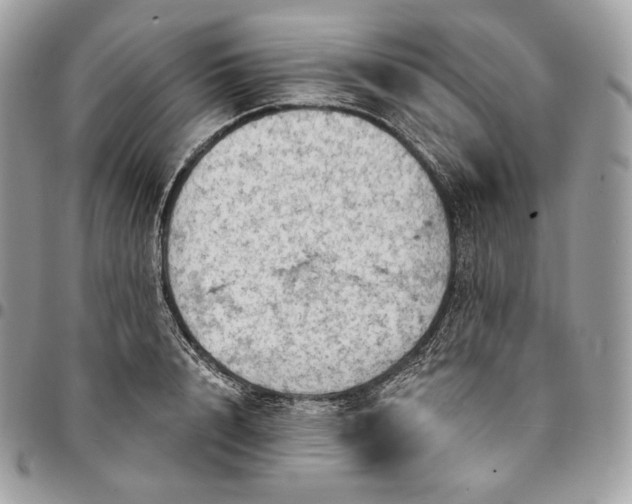 X0000095110848200712211319