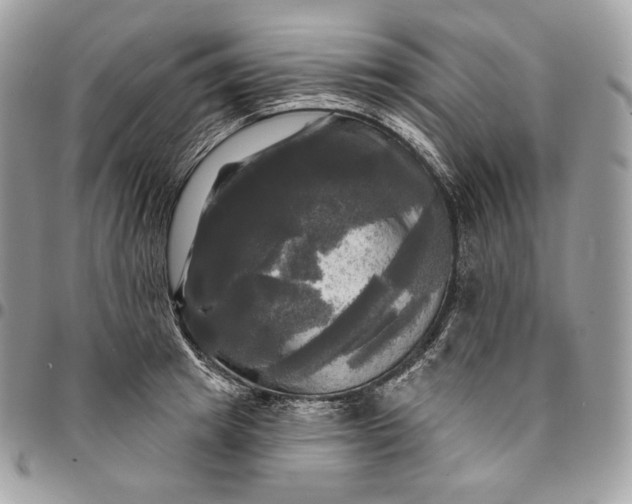 X0000095110849200712211319