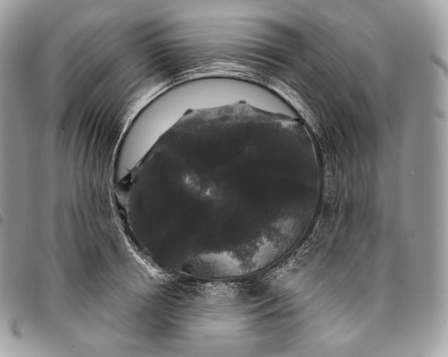 X0000095110850200712211319