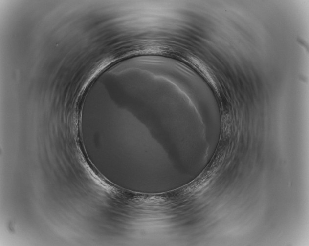 X0000095110851200712211319