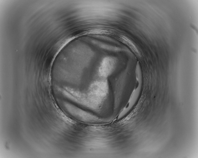 X0000095110852200712211319