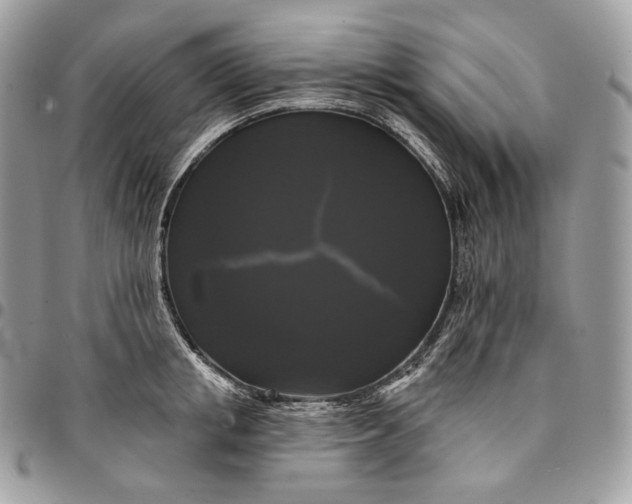 X0000095110853200712211319