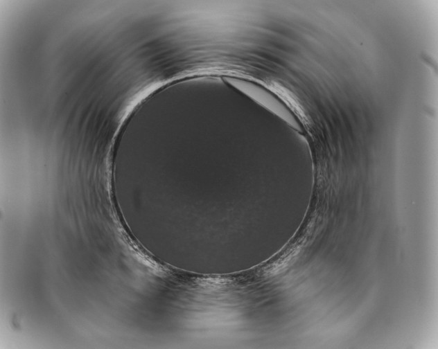 X0000095110854200712211319