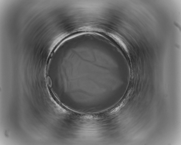 X0000095110855200712211319