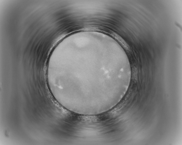 X0000095110856200712211319