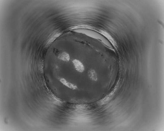 X0000095110857200712211319