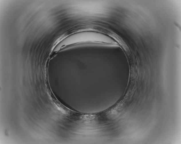 X0000095110858200712211319