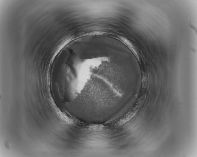 X0000095110859200712211319