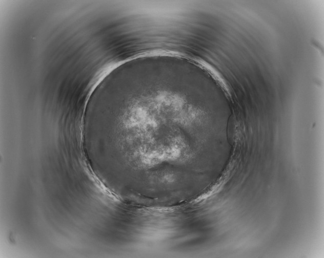 X0000095110860200712211319