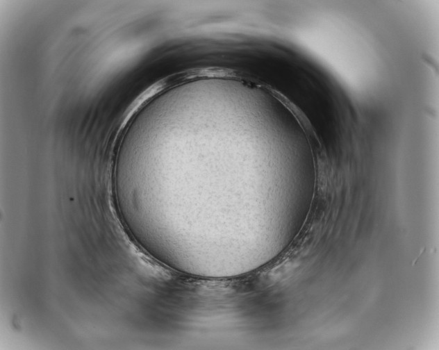 X0000095110861200712211319