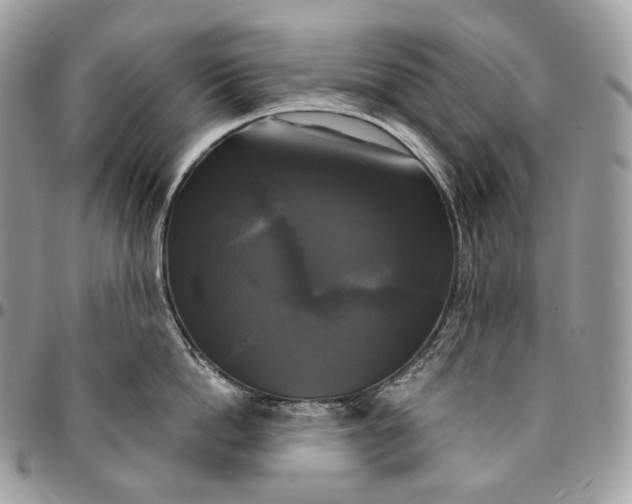 X0000095110862200712211319