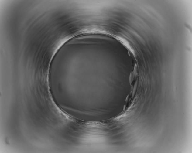 X0000095110863200712211319