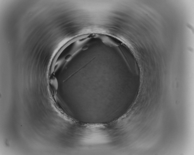 X0000095110864200712211319